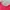 Nike Vintage Sportswear Jersey Pria red photo 4