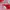 Nike Vintage Sportswear Jersey Pria red photo 5