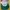 Vintage Richardson Pro Model Volunteer Federal Green Visor photo 2