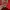 Hodie Jordan Bulss red photo 3