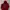 Hodie Jordan Bulss red photo 1