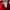 Hodie Jordan Bulss red photo 5