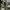 Converse Streetwear Sportswear Sneakers Pria green black photo 2