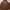 Hoodie Cottonology Terracotta 