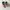Adidas Campus 00s Ice Cream White photo 4