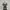 Black Lace Dress Horror Game Protagonist