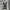 Black lace dress horror game protagonist photo 1