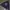Hoodie BoxyCrop Daniel Caesar Hold Me Down