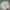 Hoodie Oversize Rework Daniel Caesar Hold Me Down photo 1