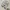Hoodie Oversize Rework Daniel Caesar Hold Me Down photo 5