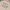 Hoodie Oversize Rework Daniel Caesar Hold Me Down photo 2