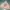Hoodie Oversize Rework Daniel Caesar Hold Me Down photo 3