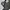 Minimalist Crop top Wanita gray photo 1
