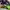Sportswear Bralette Wanita green black photo 5