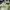 Sportswear Bralette Wanita green black photo 8
