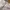 Dior Luxury Casual trouser Wanita white pink photo 6