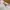 Dior Luxury Casual trouser Wanita white pink photo 7