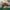 New Balance 1906R Cordura Olive photo 1