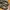 New Balance 1906R Cordura Olive photo 5