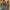 New Balance 1906R Cordura Olive photo 3