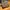 New Balance 1906R Cordura Olive photo 4