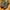 New Balance 1906R Cordura Olive photo 6
