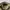 Cabelas realtree cap photo 4