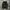 Vest Tactical Army photo 1