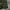 Vest Tactical Army photo 4