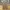 Denim Wide Leg Pants Lukewarm Khaki