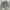 Gramici usa short corduroy pants photo 6
