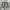 Gramici usa short corduroy pants photo 1