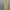 maxi dress / gamis butik designer  photo 1