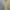 maxi dress / gamis butik designer  photo 4