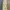 maxi dress / gamis butik designer  photo 3