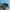 SALOMON GORTEX Xt6