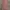 no brand photo 2