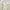 AXES FEMME DRESS SAILOR YELLOW photo 3