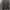 Adidas Sportswear Casual Track jacket Pria green photo 7