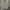 Polo Ralph Lauren Casual Polo shirt Pria white yellow photo 1