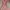 Mini Dress Floral Terracotta photo 1