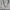Adidas Vintage Sportswear Jersey Pria white photo 3