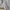 Adidas Vintage Sportswear Jersey Pria white photo 5