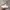 Nike Air Force 1 White photo 1