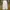 Color Wide Leg Denim Pants Public Tokyo Japan white photo 2