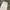 Color Wide Leg Denim Pants Public Tokyo Japan white photo 3