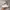 Nike Air Force 1 White photo 1