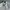 Vintage Y2K Bomber jacket Pria white gray photo 3