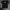 Kaos The Beatles Let It Be Wall Of Fame photo 2