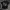 Kaos The Beatles Let It Be Wall Of Fame photo 1